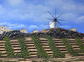 Portugal Countryside: Transitional Territory