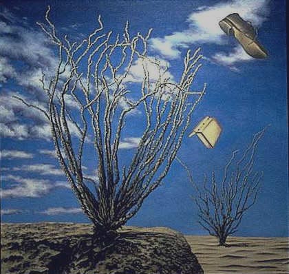 Ocatillo Tree