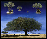 Africa 2