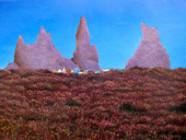 Iceland The Trolls