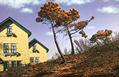 Portugal, Wild Fires #2