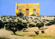 Portugal's Disappearing Landscape